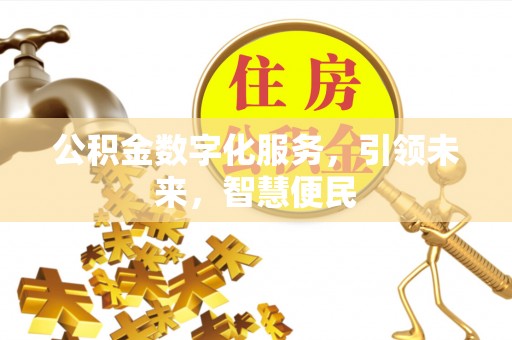 岳阳公积金数字化服务，引领未来，智慧便民