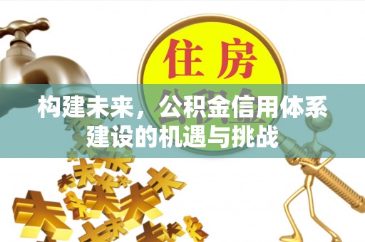 岳阳构建未来，公积金信用体系建设的机遇与挑战