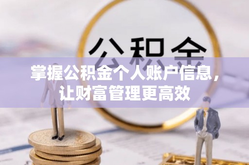 岳阳掌握公积金个人账户信息，让财富管理更高效