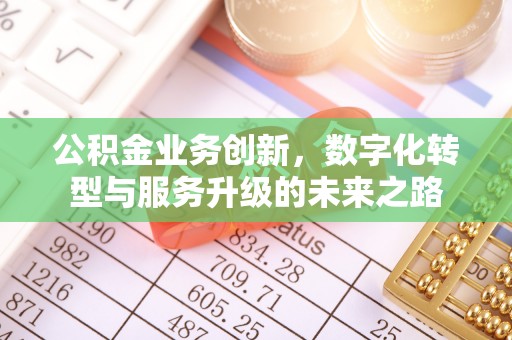 岳阳公积金业务创新，数字化转型与服务升级的未来之路