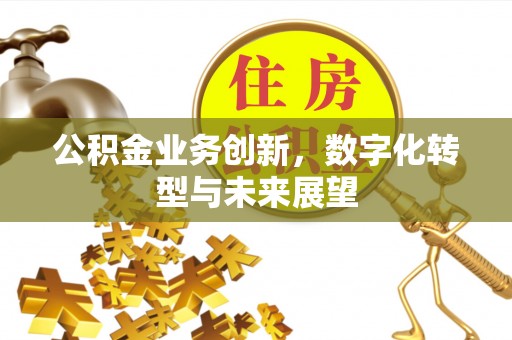 岳阳公积金业务创新，数字化转型与未来展望