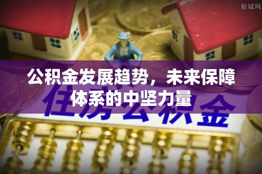 岳阳公积金发展趋势，未来保障体系的中坚力量