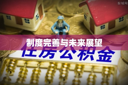 岳阳制度完善与未来展望