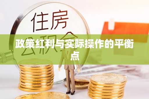 岳阳政策红利与实际操作的平衡点